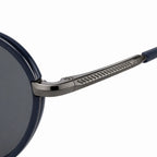Polarized rounded double bridge Sunglasses from ray ban